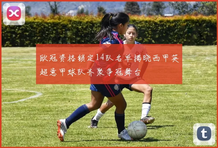 欧冠资格锁定14队名单揭晓西甲英超意甲球队齐聚争冠舞台