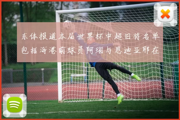 东体报道本届世界杯中超旧将名单包括海港前球员阿瑙与恩迪亚耶在内的10位球员